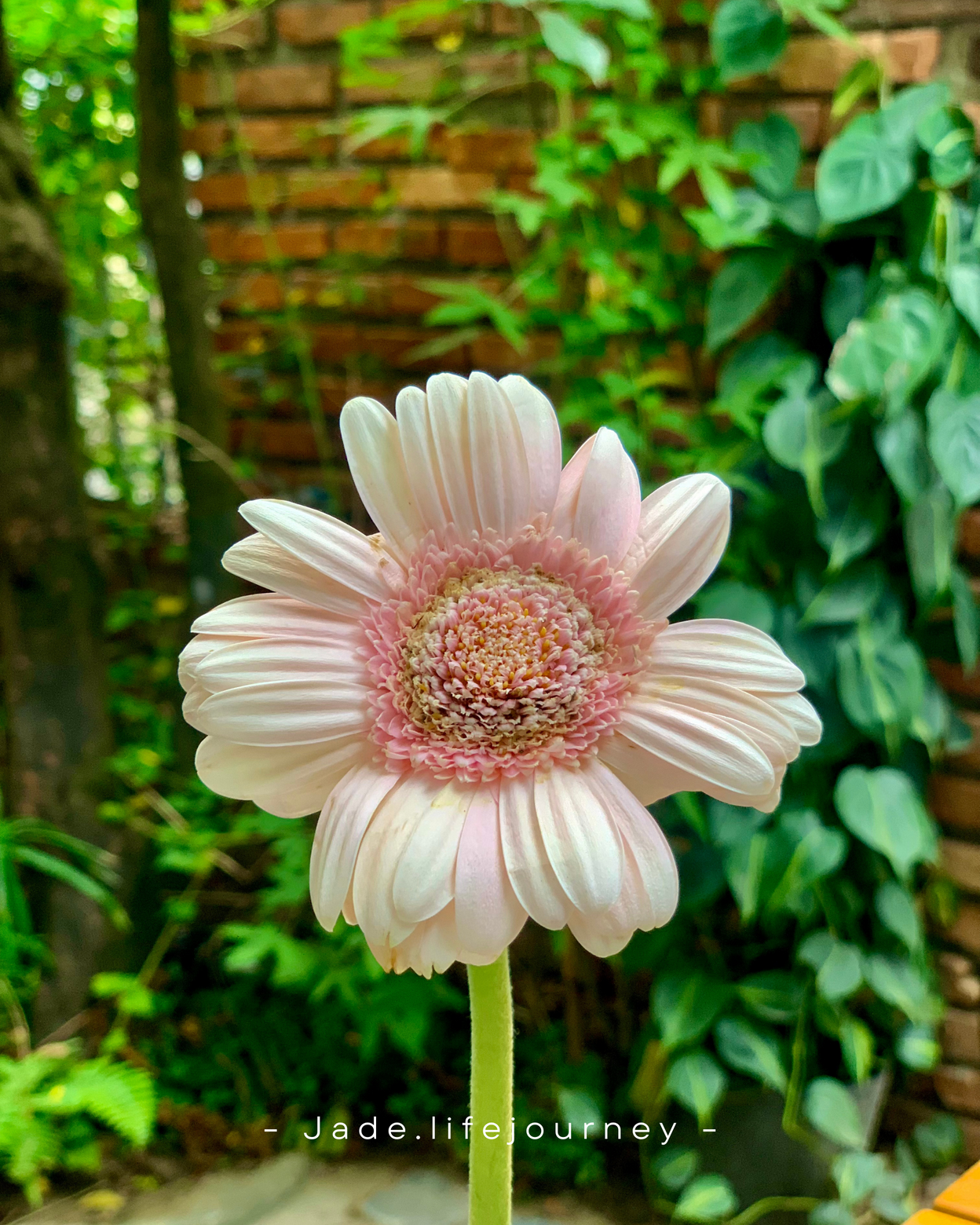 Bạn là duy nhất.