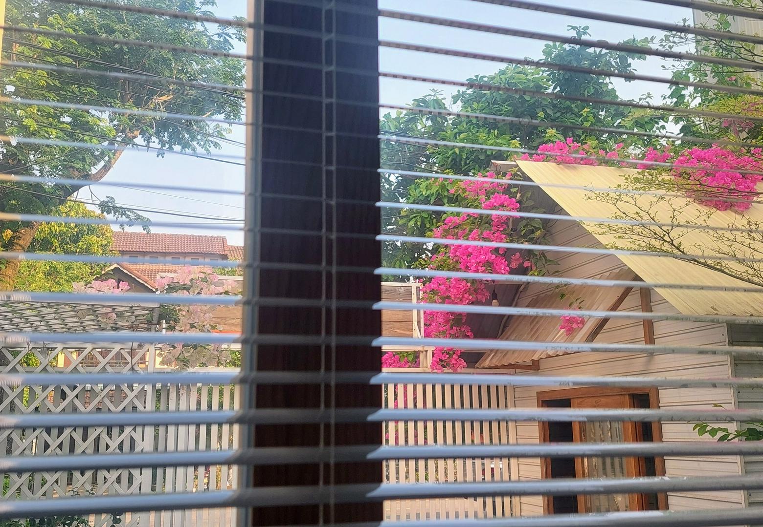 Chúng ta trở về nhà sau thời gian xa cách.